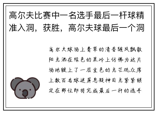 高尔夫比赛中一名选手最后一杆球精准入洞，获胜，高尔夫球最后一个洞叫什么